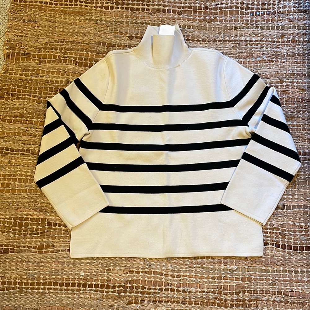 RARE NWT Stripe Sweater